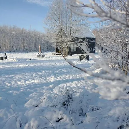 Miedzy Olchami Domek Nad Jeziorem. Noclegi Caloroczne. Cisza, Spokoj. Barczewo Exterior photo