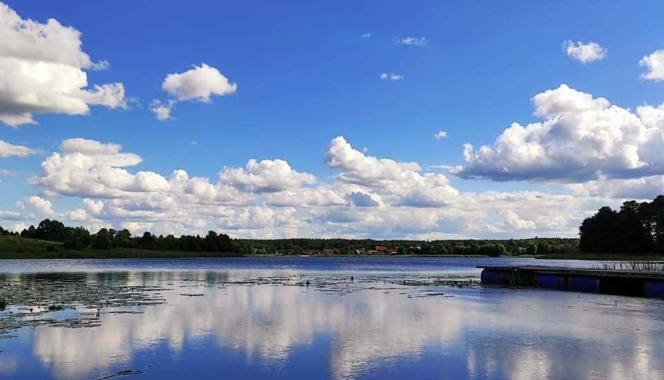Miedzy Olchami Nad Jeziorem. Caloroczne. Cisza, Spokoj.