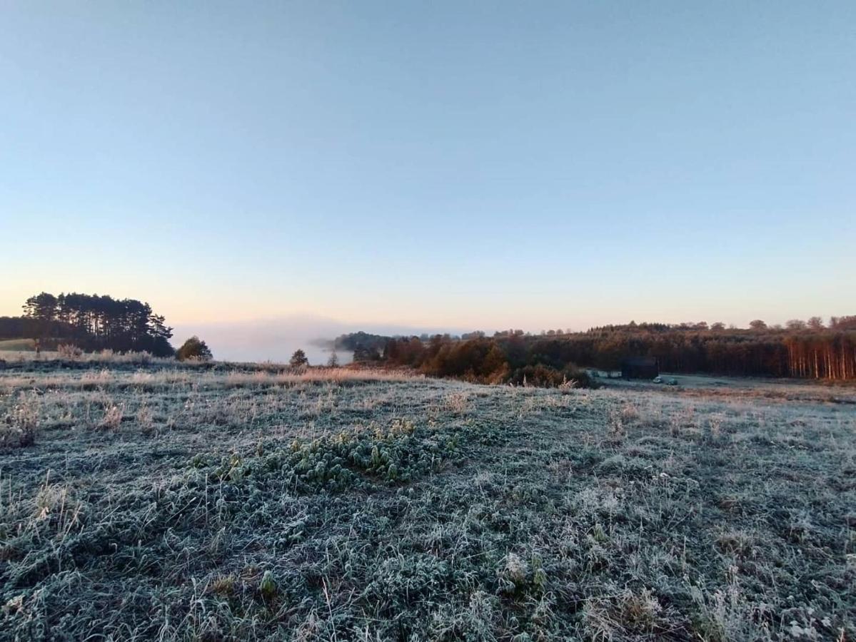 Miedzy Olchami Nad Jeziorem. Caloroczne. Cisza, Spokoj. *